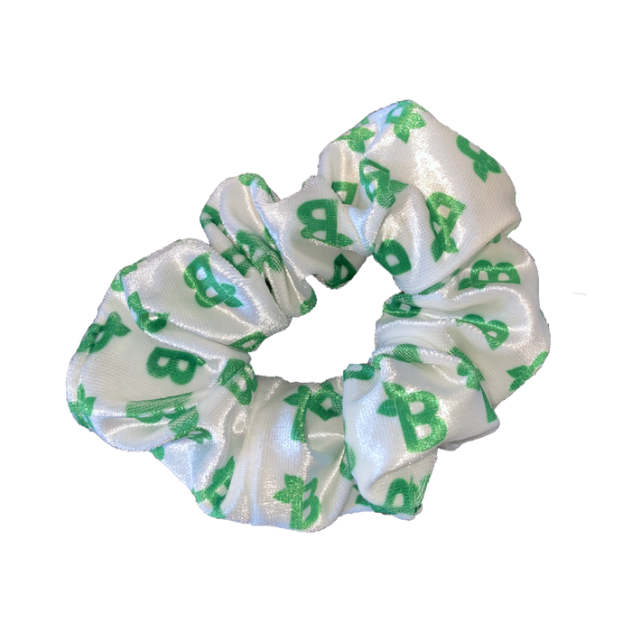 Free Scrunchie B4